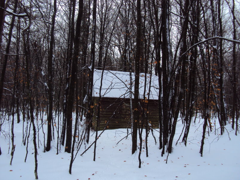 champlon5313 ma cabane au canada.jpg